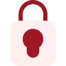 Security Analyst